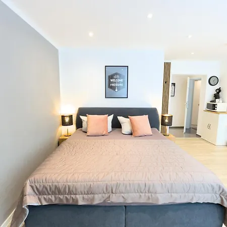 Apartmán Boutique Am Stadtgarten Freiburg im Breisgau