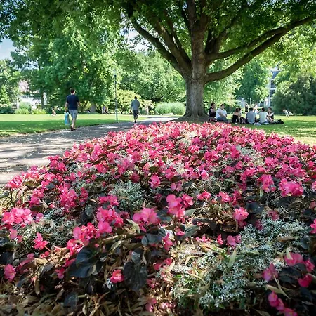 アパート Boutique Am Stadtgarten *