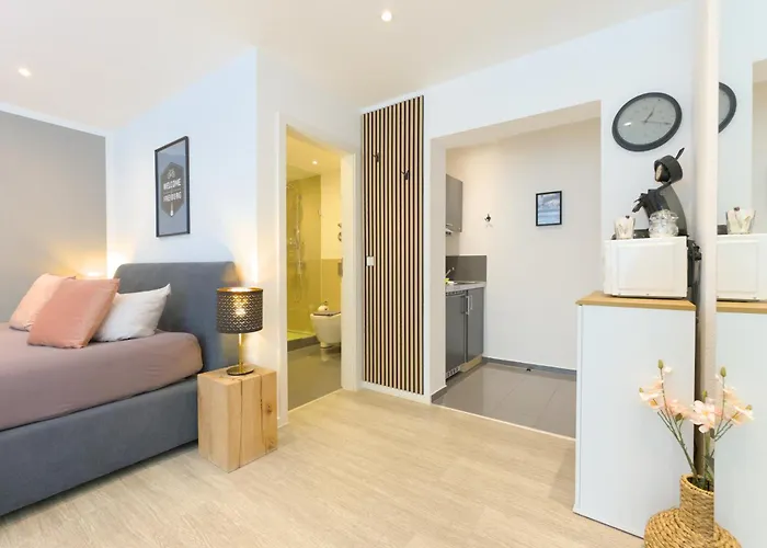 Boutique Am Stadtgarten Apartment