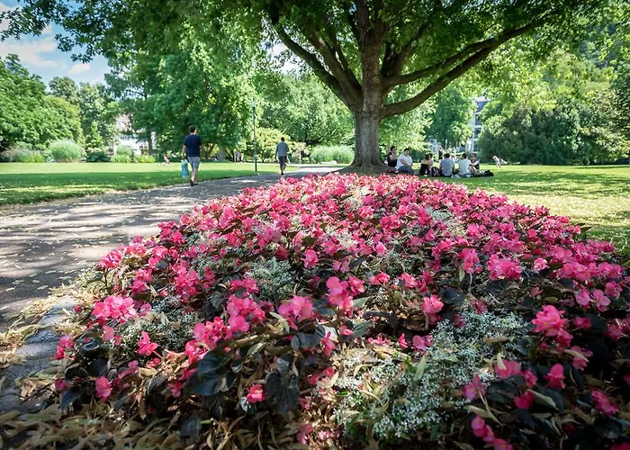 Apartment Boutique Am Stadtgarten *